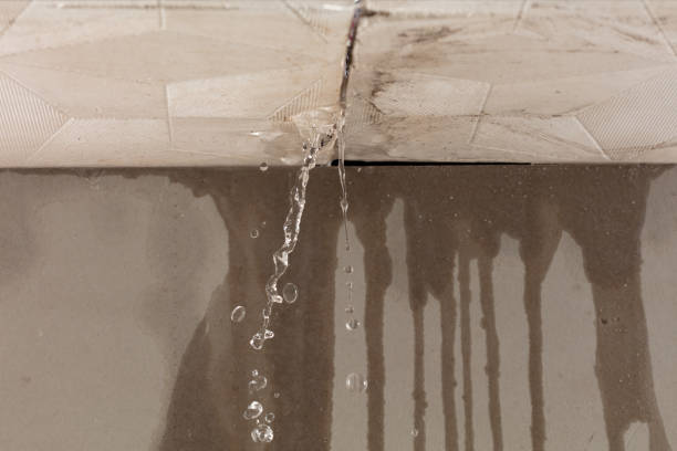 Professional Water Damage Repair technician working in Paramus, NJ